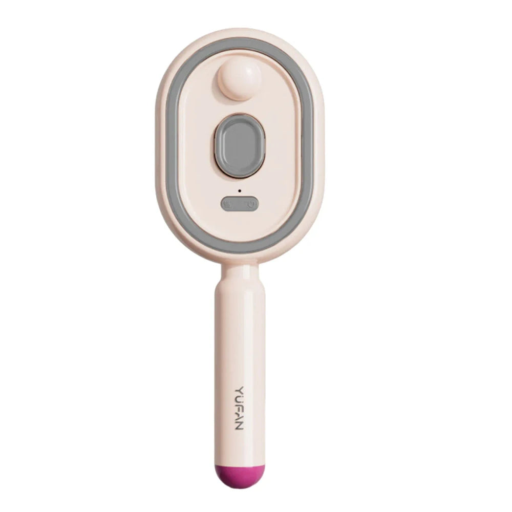 Rechargeable Electric Steam Hair Brush- Instant Silk press