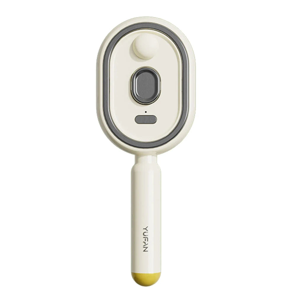 Rechargeable Electric Steam Hair Brush- Instant Silk press