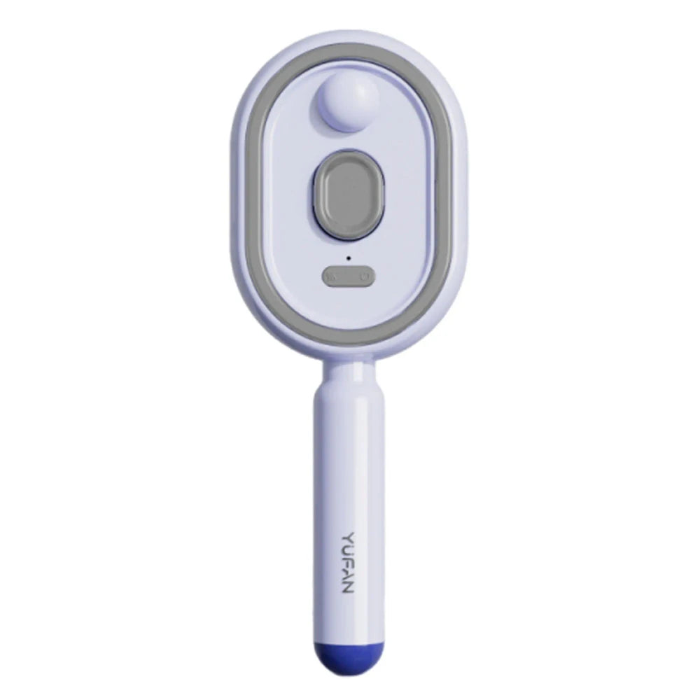 Rechargeable Electric Steam Hair Brush- Instant Silk press